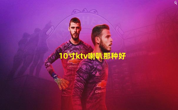 10寸ktv喇叭那种好