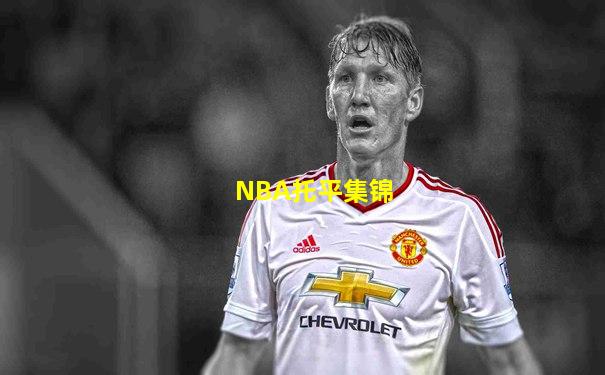 NBA托平集锦