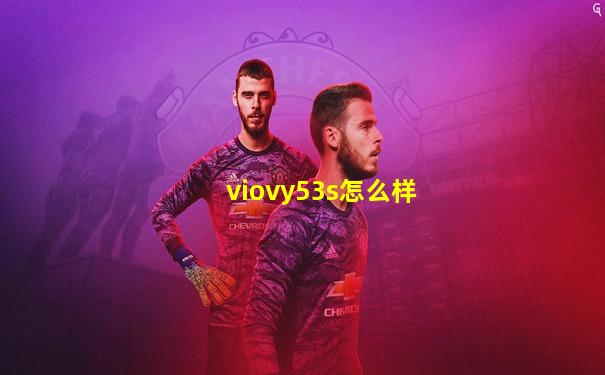viovy53s怎么样