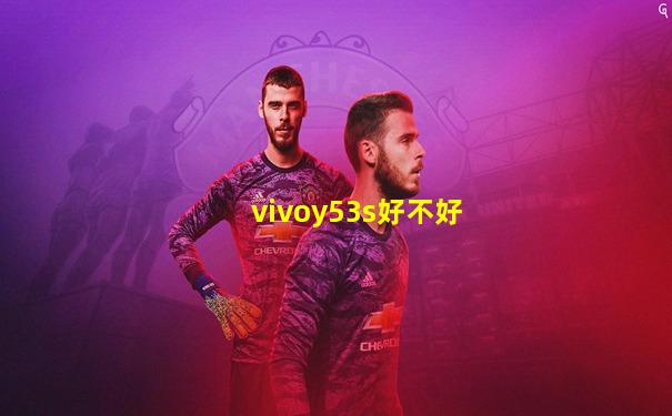 vivoy53s好不好