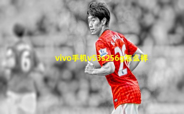 vivo手机v53s256g怎么样