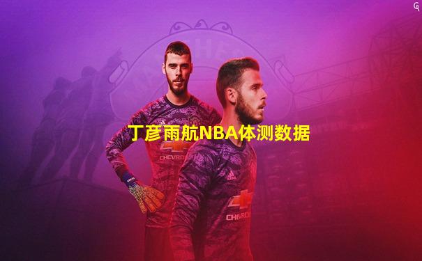 丁彦雨航NBA体测数据