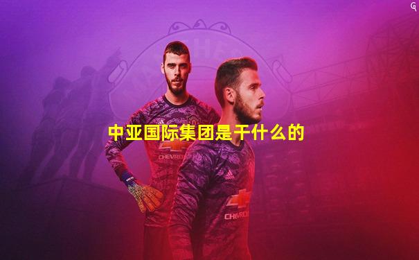 中亚国际集团是干什么的