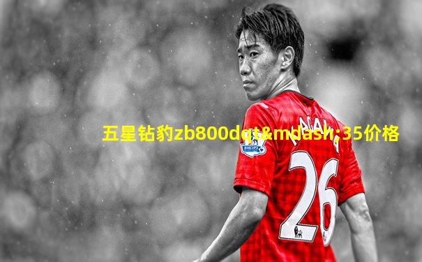 五星钻豹zb800dqt—35价格