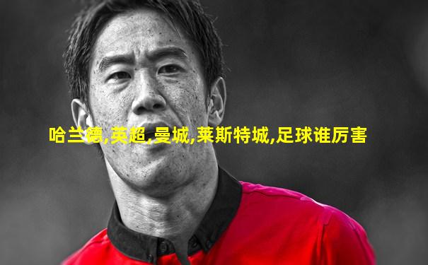 哈兰德,英超,曼城,莱斯特城,足球谁厉害