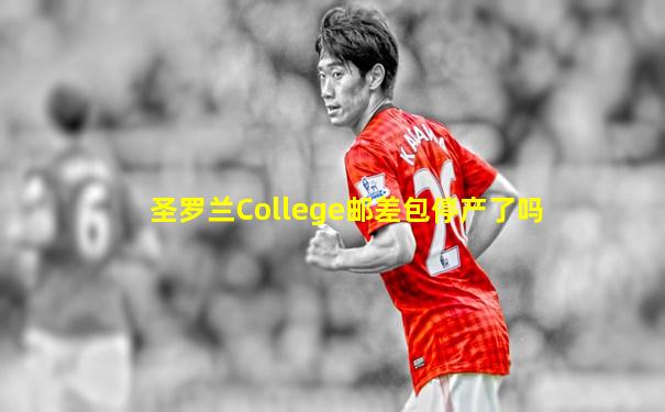 圣罗兰College邮差包停产了吗