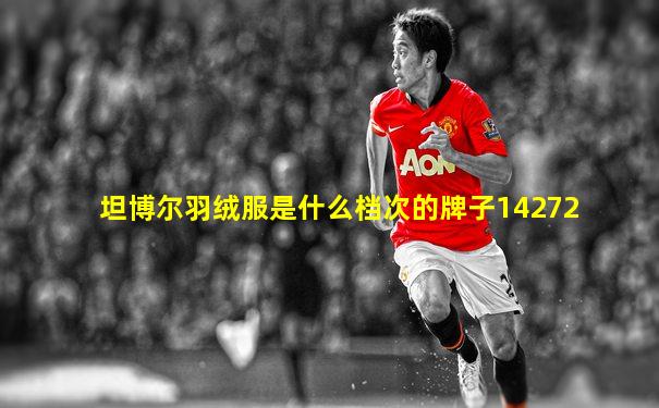 坦博尔羽绒服是什么档次的牌子14272