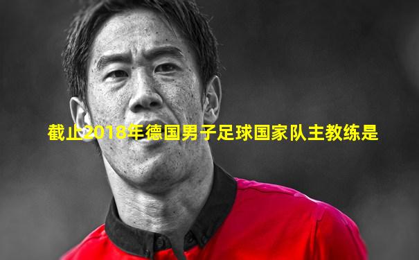 截止2018年德国男子足球国家队主教练是