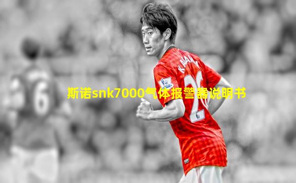 斯诺snk7000气体报警器说明书