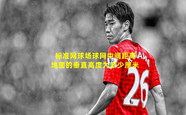 标准网球场球网中间距离地面的垂直高度为多少厘米