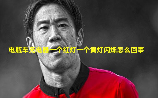 电瓶车充电器一个红灯一个黄灯闪烁怎么回事