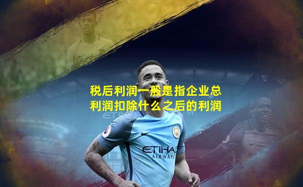 税后利润一般是指企业总利润扣除什么之后的利润