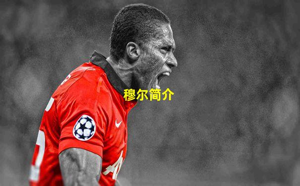 穆尔简介