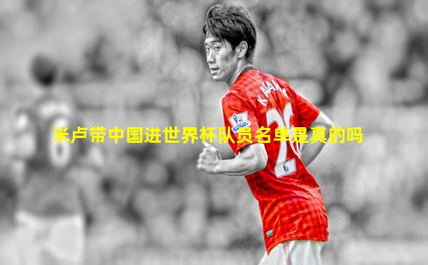 米卢带中国进世界杯队员名单是真的吗