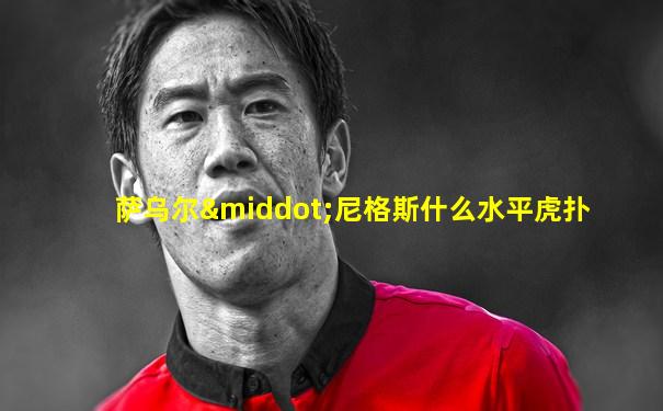 萨乌尔·尼格斯什么水平虎扑
