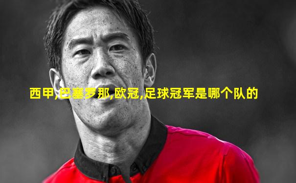西甲,巴塞罗那,欧冠,足球冠军是哪个队的