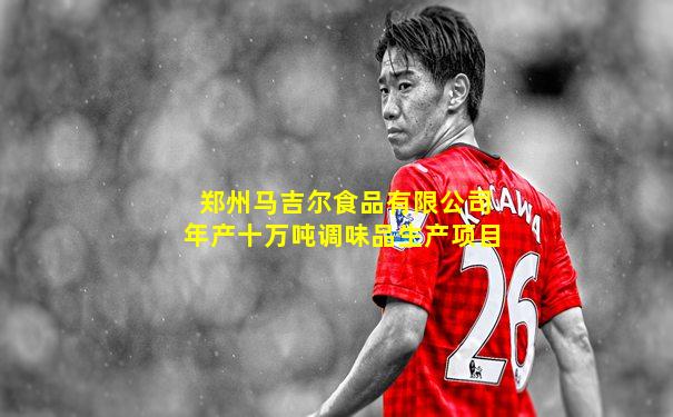 郑州马吉尔食品有限公司年产十万吨调味品生产项目