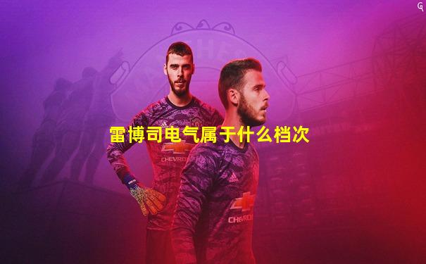 雷博司电气属于什么档次