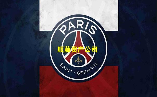 顺藤资产公司