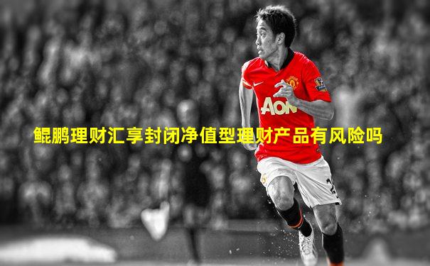 鲲鹏理财汇享封闭净值型理财产品有风险吗
