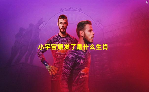 小宇宙爆发了是什么生肖