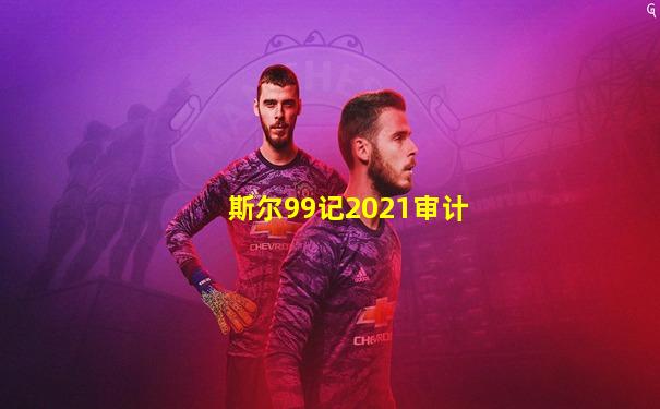斯尔99记2021审计