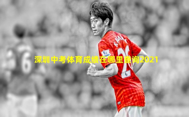 深圳中考体育成绩在哪里查询2021