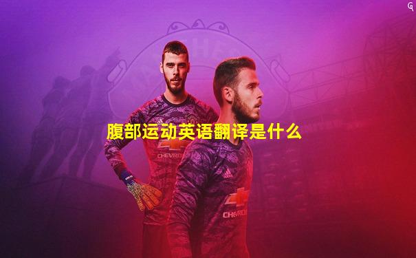 腹部运动英语翻译是什么